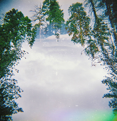 Kaleidoscope tree line and light leak. 